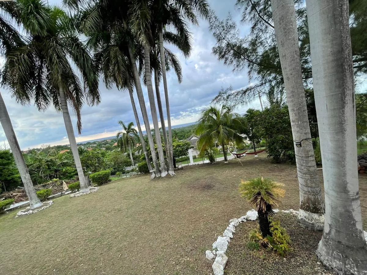 Hostel The Lodge @ Peaceful Palms Montego Bay